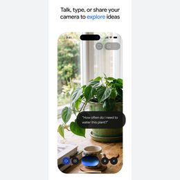 Google Gemini Official iPhone listing sequence