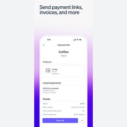 Stripe Dashboard Official iPhone listing sequence