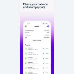 Stripe Dashboard Official iPhone listing sequence